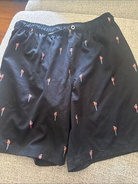 Parrot swim trunks